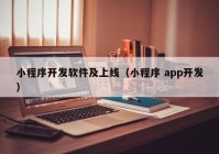 小程序开发软件及上线（小程序 app开发）