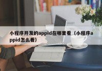 小程序开发的appid在哪里看（小程序appid怎么看）