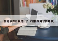 智能软件开发是什么（智能应用软件开发）