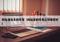 网站建设定制开发（网站定制开发公司哪家好）