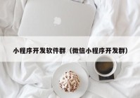 小程序开发软件群（微信小程序开发群）