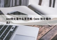 seo优化是什么意思呢（seo 优化是什么）